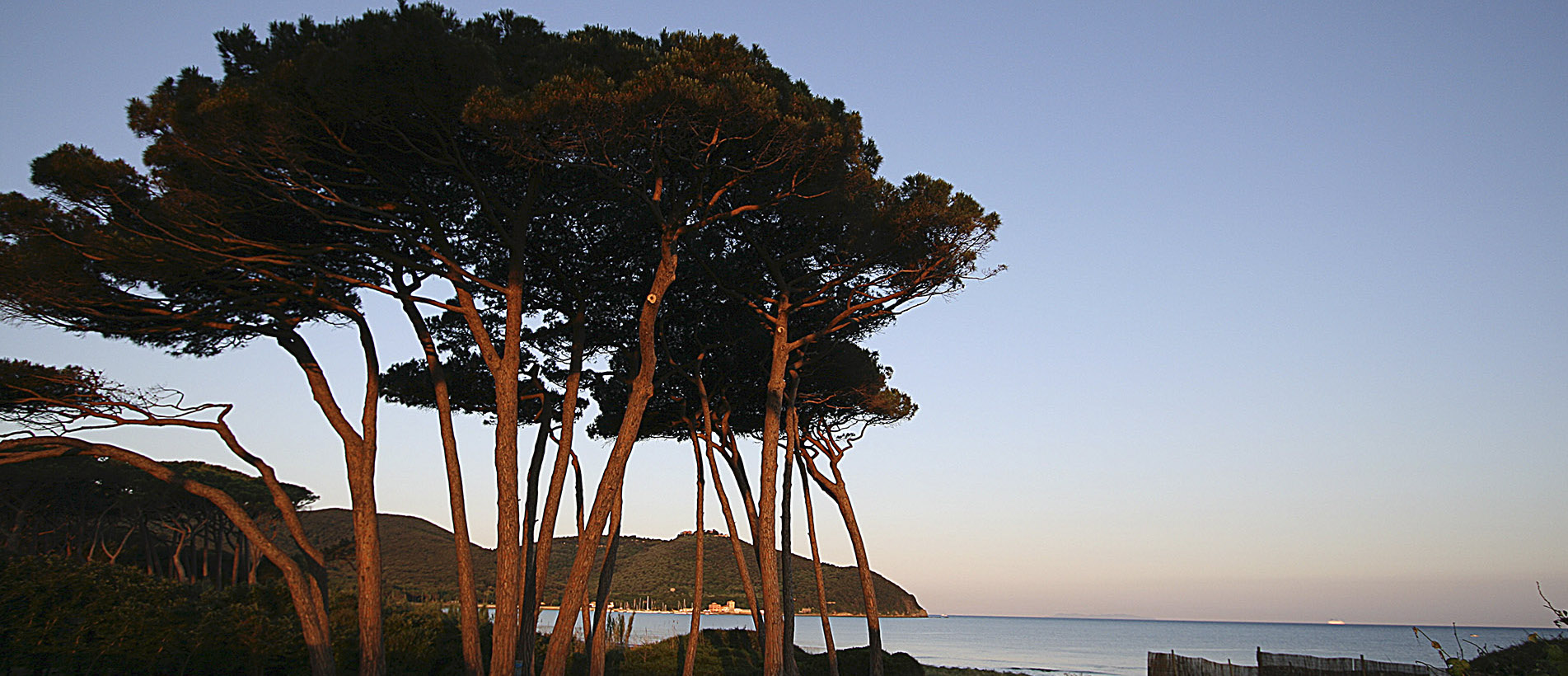 costa degli etruschi baratti