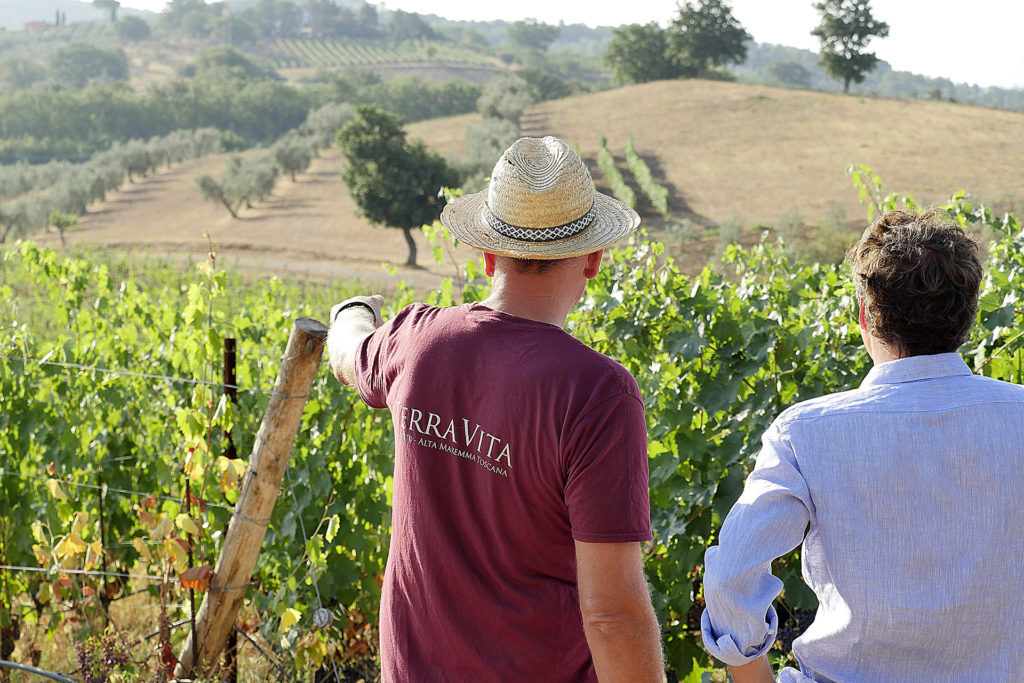 Azienda agricola terravita vigneti suvereto