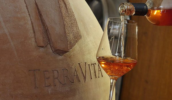 Vini biodinamici tenuta terravita