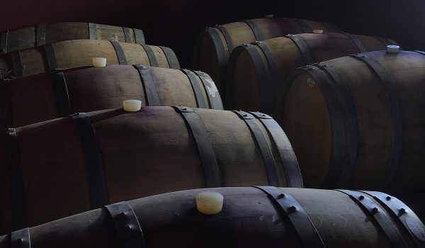 vini biodinamici suvereto tenuta terravita vini biodinamici suvereto tenuta terravita