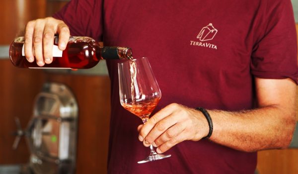 degustazione vino terravita
